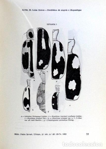 Libros antiguos: ESTUDOS DE ZOOLOGIA. - Foto 2