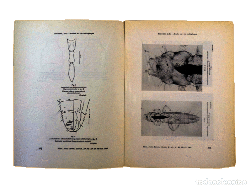 Libros antiguos: ESTUDOS DE ZOOLOGIA. - Foto 3