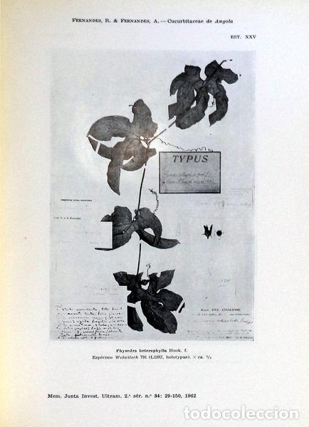 Libros antiguos: ESTUDOS DE BOT&Acirc;NICA. - Foto 3