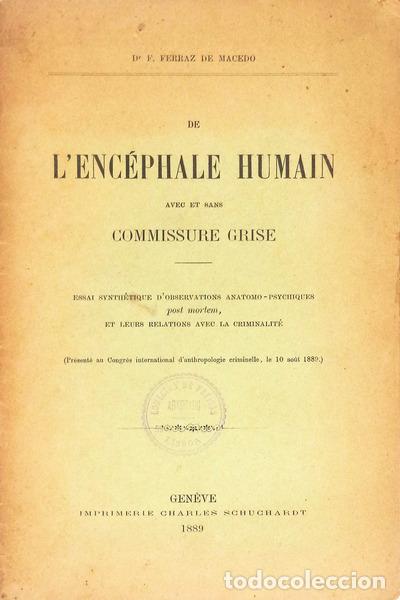 Antiquarische B&uuml;cher: FERRAZ DE MACEDO. (Francisco) - DE L&rsquo; ENC&Eacute;PHALE HUMAIN.