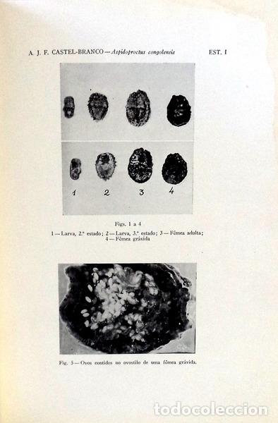 Libros antiguos: ESTUDOS DE ZOOLOGIA. - Foto 2
