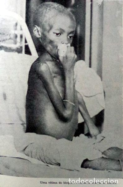 Libros antiguos: SANTOS. (Eduardo dos) - VIDA E MORTE DO BIAFRA. - Foto 4
