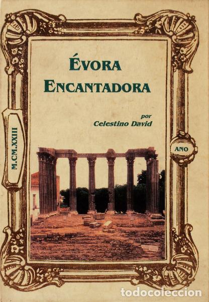 Libros antiguos: DAVID. (Celestino) - &Eacute;VORA ENCANTADORA. - Foto 1