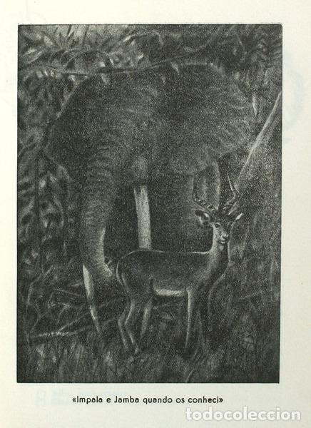 Libros antiguos: GALV&Atilde;O. (Henrique) - IMPALA. - Foto 2