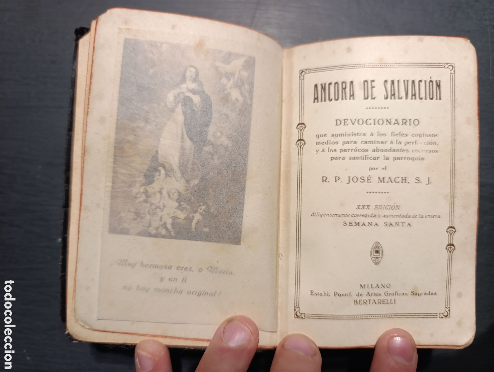 Antiquarische B&uuml;cher: ANCORA DE SALVACI&Oacute;N DEVOCIONARIO. R. P. JOS&Eacute; MACH, S. J.