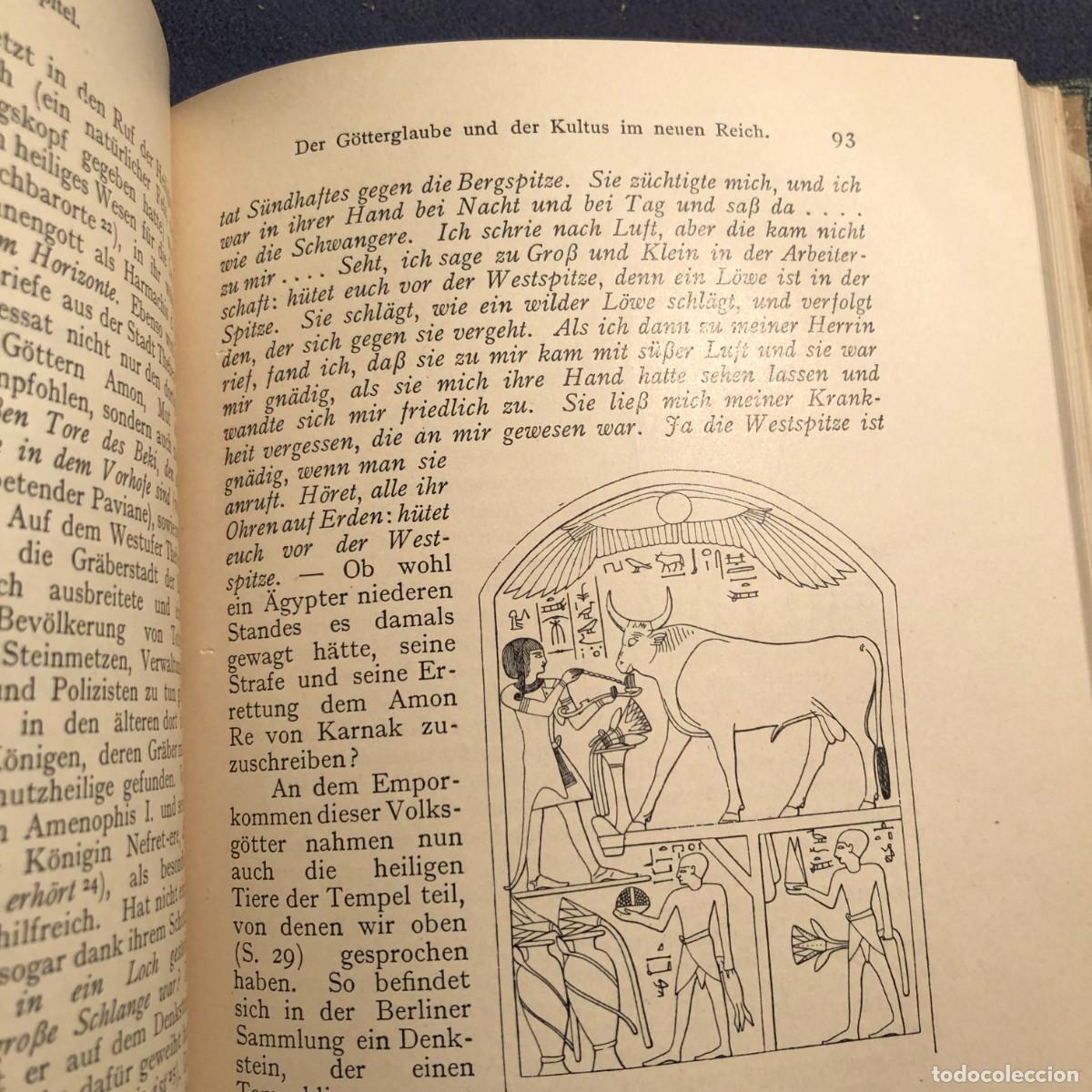 Libros antiguos: ADOLF ERMAN: - DIE &Auml;GYPTISCHE RELIGION - (BERLIN, 1909) - Foto 3