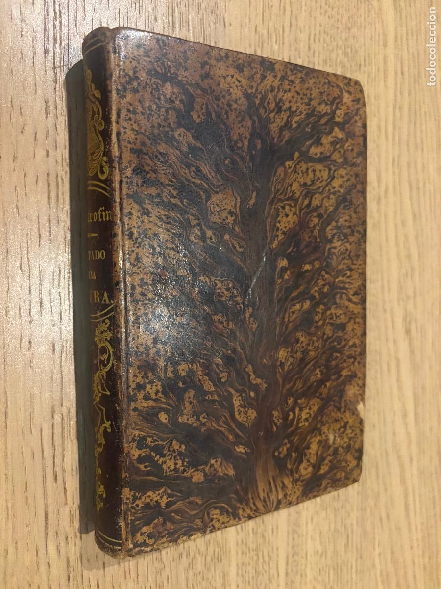 Libros antiguos: Tratado de la usura en tres libros - Mastrofini, Abate Marco. 1859