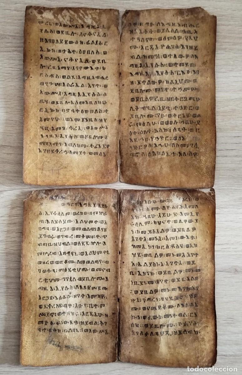 Libros antiguos: MANUSCRITO PERGAMINO DE USO PRIVADO. GE'EZ .2 HOJAS DOBLES ANTIQU&Iacute;SIMA BIBLIA ET&Iacute;OPE CRISTIANA COPTA