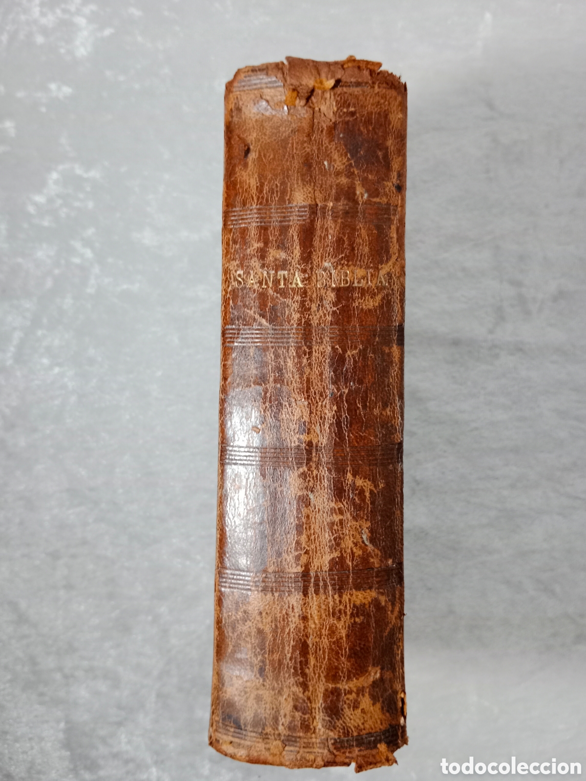 Libros antiguos: SANTA BIBLIA, 1903, ANTIGUA VERSI&Oacute;N DE CIPRIANO DE VALERA, PROTESTANTE