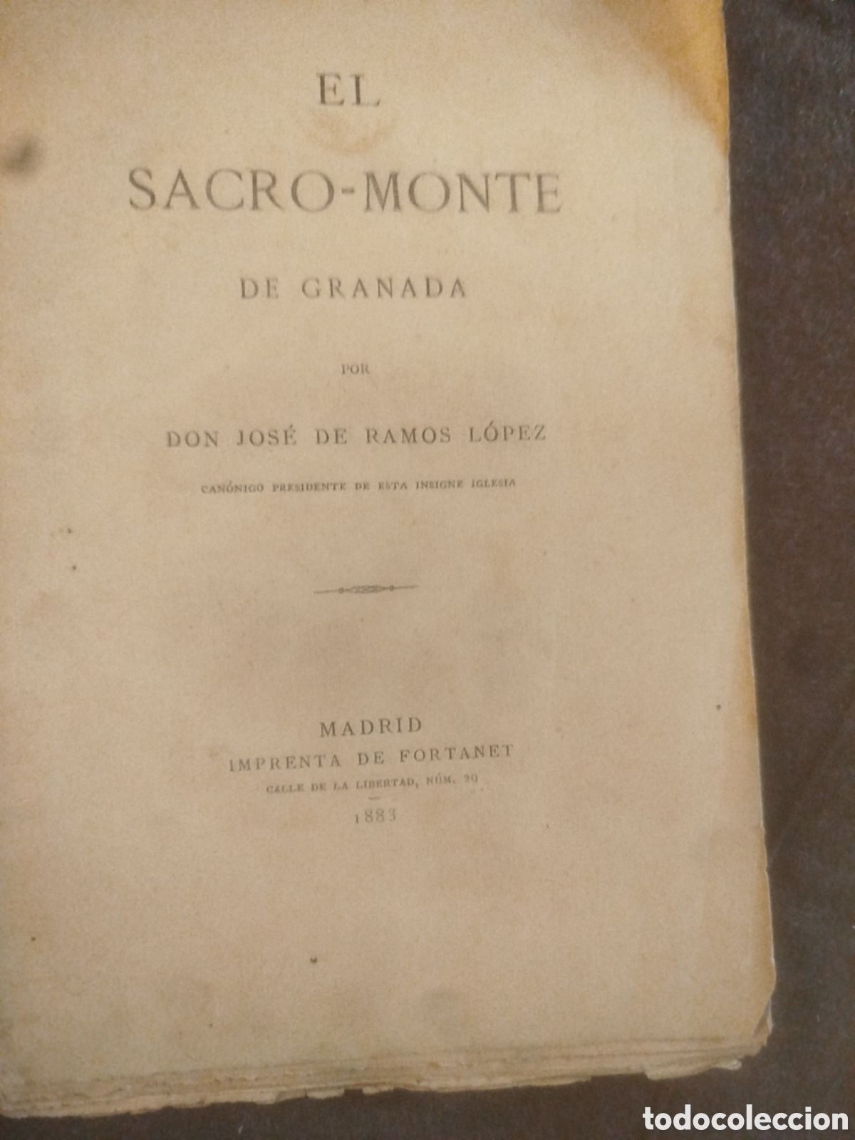 Antiquarische B&uuml;cher: El Saco - Monte de Granada 1883