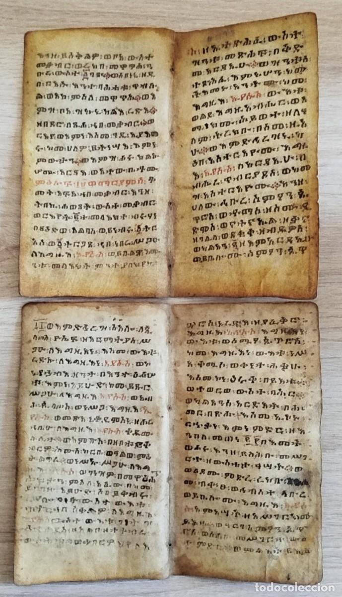 Libros antiguos: MANUSCRITO PERGAMINO DE USO PRIVADO. GE'EZ .2 HOJAS DOBLES ANTIQU&Iacute;SIMA BIBLIA ET&Iacute;OPE CRISTIANA COPTA