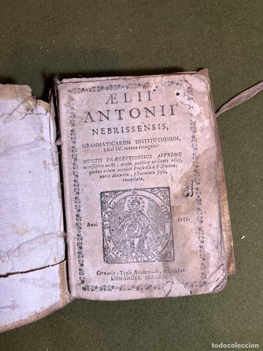 Livres anciens: Aelii Antonii Nebrissensis Grammaticarum Institutionum Libri IV. Cervera, Manuel Ibarra, 1755 pergam