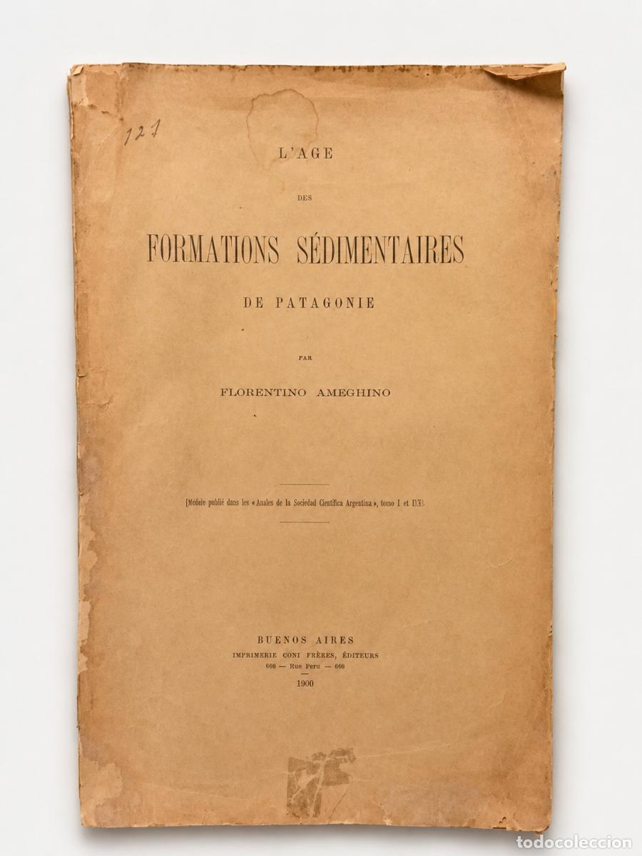 Libros antiguos: FLORENTINO AMEGHINO &ndash; L&rsquo;&Acirc;GE DES FORMATIONS S&Eacute;DIMENTAIRES DE PATAGONIE &ndash; IMPRIMERIE CONI FR&Egrave;RES &ndash; LM