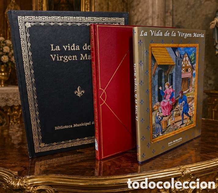Libros antiguos: LA VIDA DE LA VIRGEN MARIA FACSIMIL DE LUJO COMPLETO eje 260