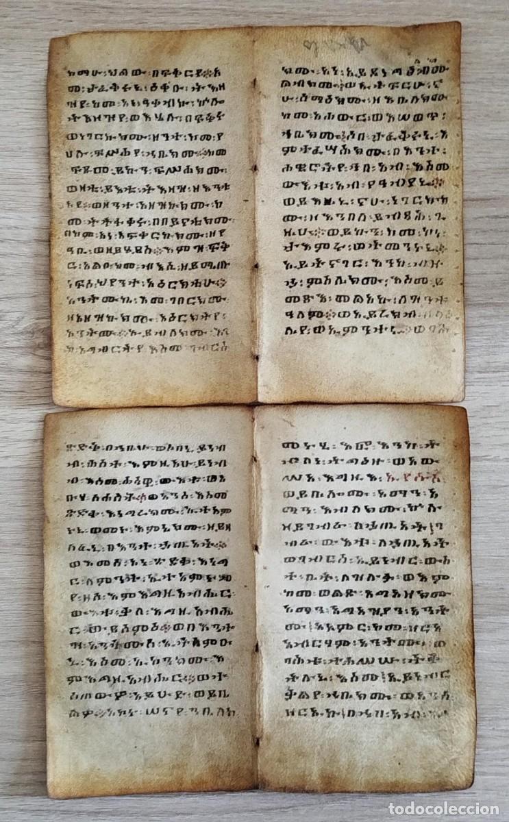 Libri antichi: MANUSCRITO PERGAMINO DE USO PRIVADO. GE'EZ .2 HOJAS DOBLES ANTIQU&Iacute;SIMA BIBLIA ET&Iacute;OPE CRISTIANA COPTA