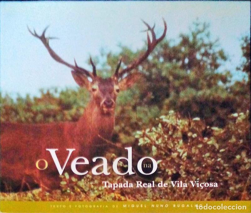 Libros antiguos: BUGALHO. (Miguel Nuno) - O VEADO NA TAPADA REAL DE VILA VI&Ccedil;OSA. [1.&ordf; EDI&Ccedil;&Atilde;O]