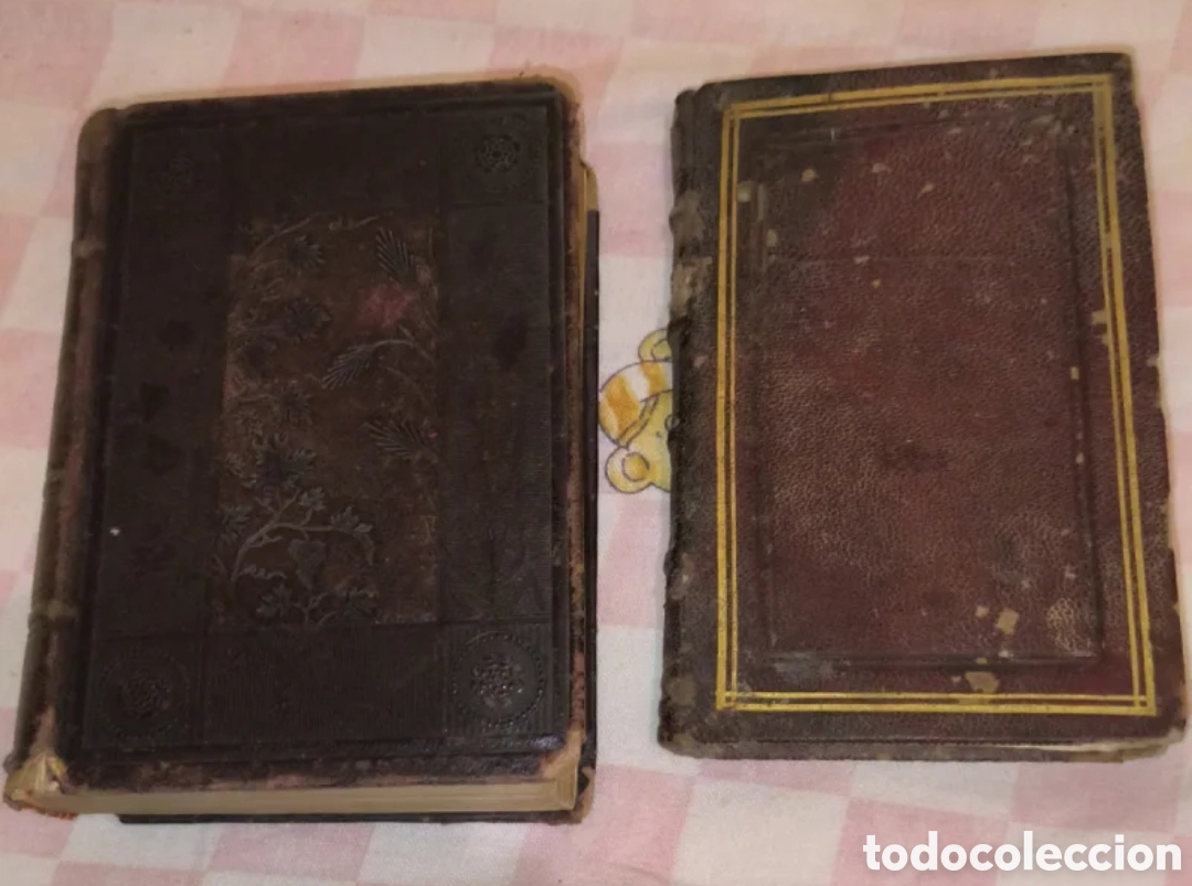 Libros antiguos: Dos libros de finales del siglo XIX