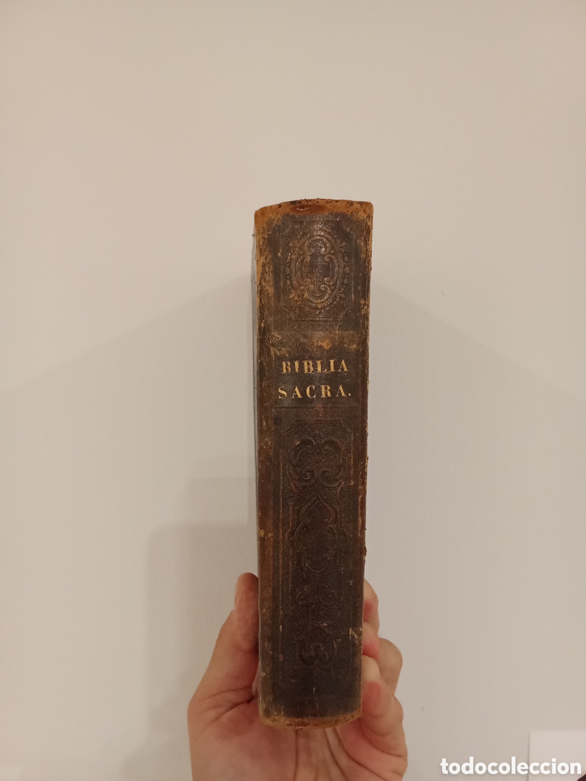 Libros antiguos: Biblia Sacra Vulgata Editionis - 1862