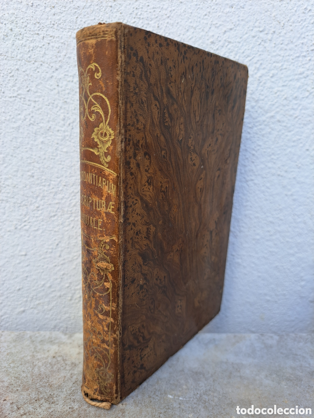 Libros antiguos: CONCORDANTIARUM SS SCRIPTURAE MANUALE - 1864, LIBRERIA RELIGIOSA
