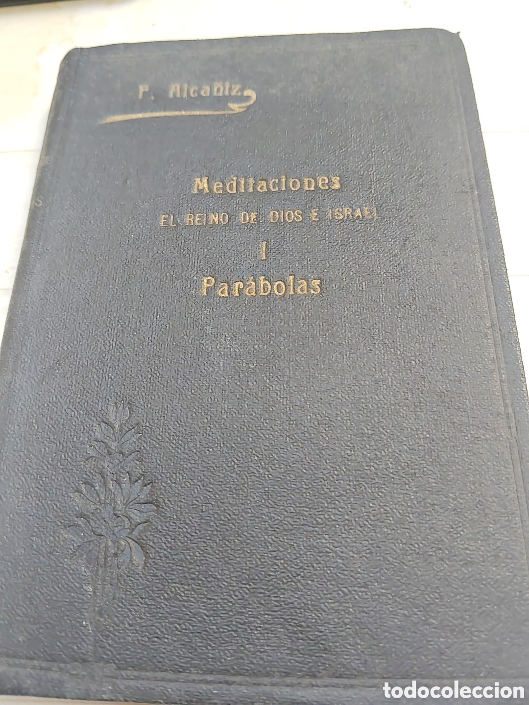 Libros antiguos: Meditaciones. Par&aacute;bolas. 1934