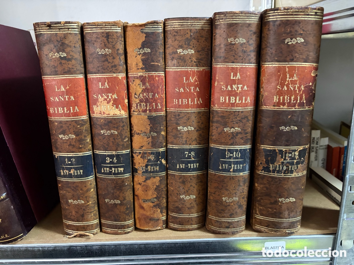 Livros antigos: Blas115A La Santa Biblia, Felipe Scio de San Miguel, 6 tomos, 1893, Pablo Riera, Barcelona.