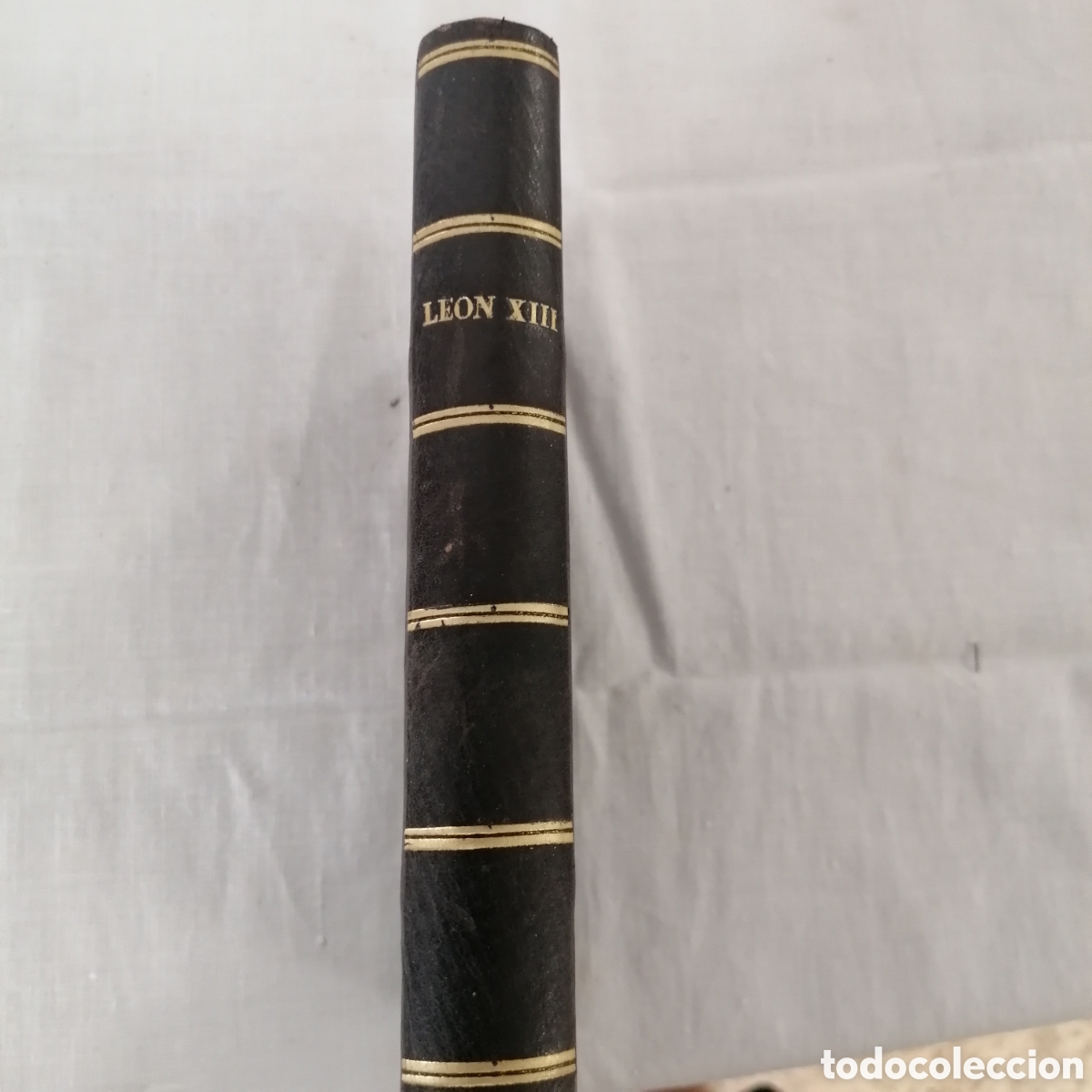 Libros antiguos: Libro Leon XIII y la situacion del pontificado