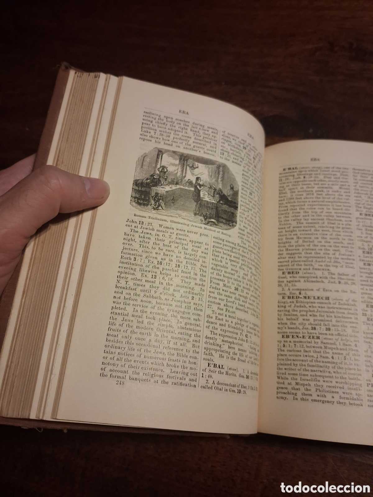 Libros antiguos: Schaffs Bible Dictionary - Foto 7