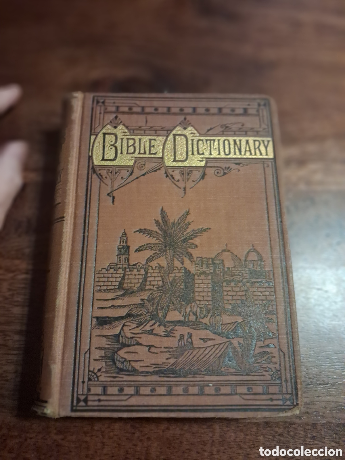 Libros antiguos: Schaff's Bible Dictionary