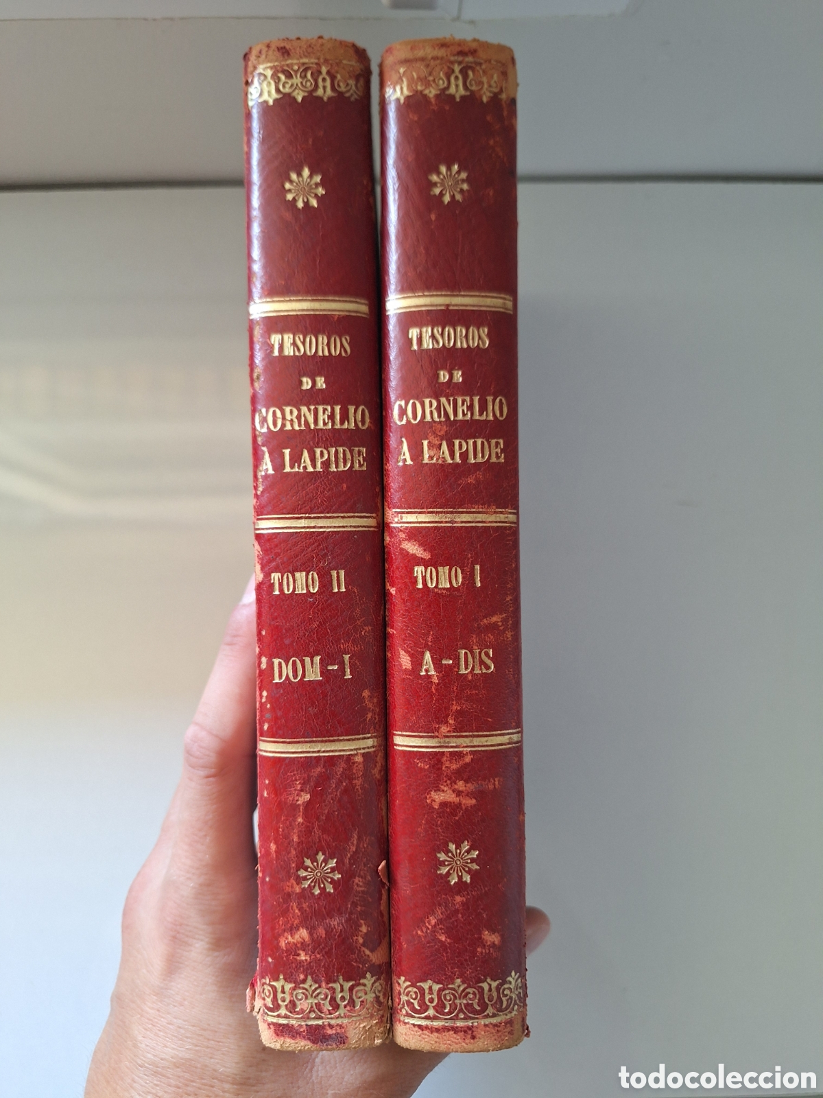 Libros antiguos: Tesoros de Cornelio A Lapide, Tomos I y II, 1909