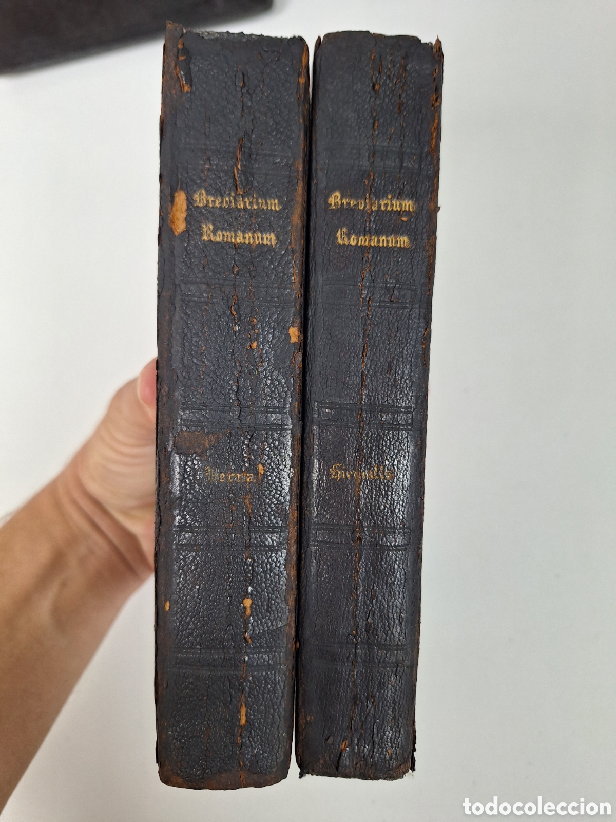 Libros antiguos: Breviarium Romanum, 2 vols (Verna, Hiemalis), Marietti, 1914