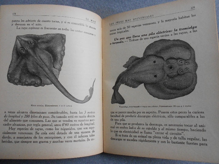 Libros antiguos: EL MAR. TRES TOMOS - Foto 26