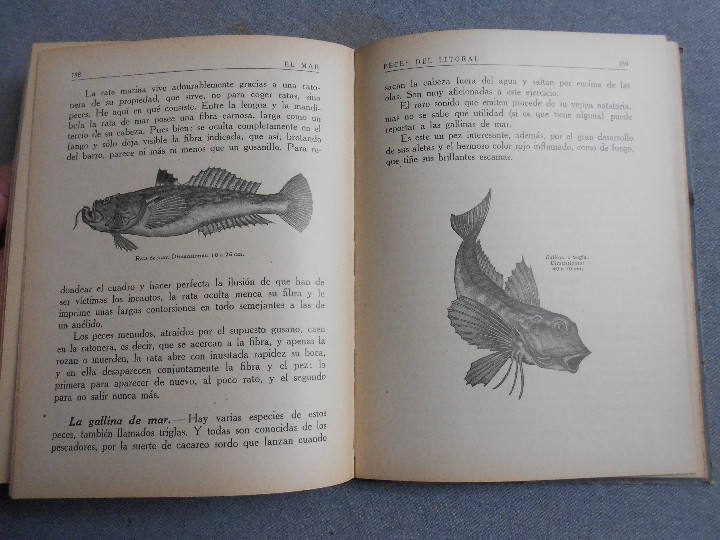 Libros antiguos: EL MAR. TRES TOMOS - Foto 27