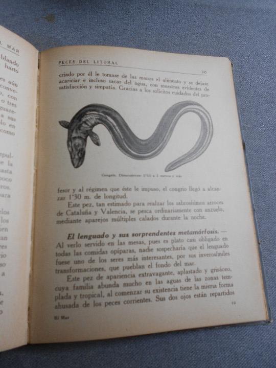 Libros antiguos: EL MAR. TRES TOMOS - Foto 28