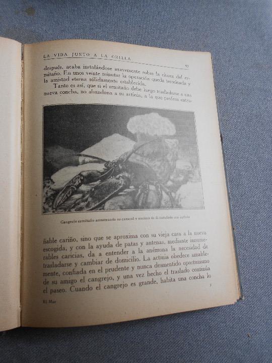Libros antiguos: EL MAR. TRES TOMOS - Foto 30