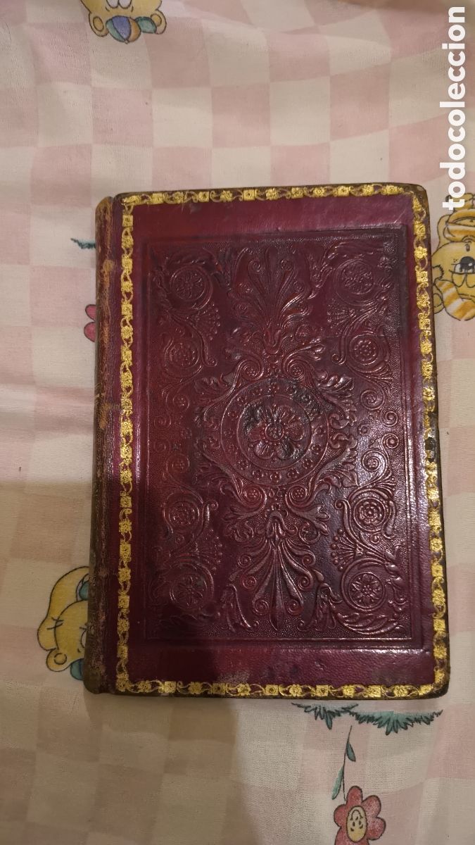 Libros antiguos: La mujer. Libro de 1861 D. Severo Catalina