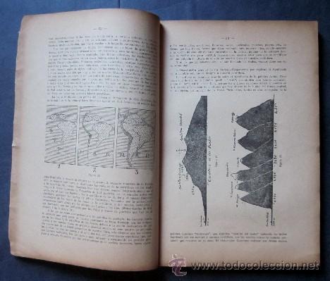 Libros antiguos: ELEMENTOS DE GEOGRAFIA CIENTIFICA DEL PERU - A&Ntilde;O 1926 - Foto 3
