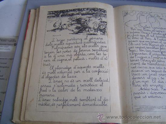 Libros antiguos: Libro de escuela, Lectures Manuscrites, texto en catal&aacute;n. - Foto 3