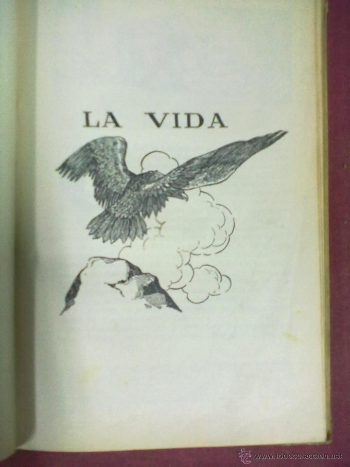 Libros antiguos: FEDERICO TORRES PROGRESO 1935 - Foto 5
