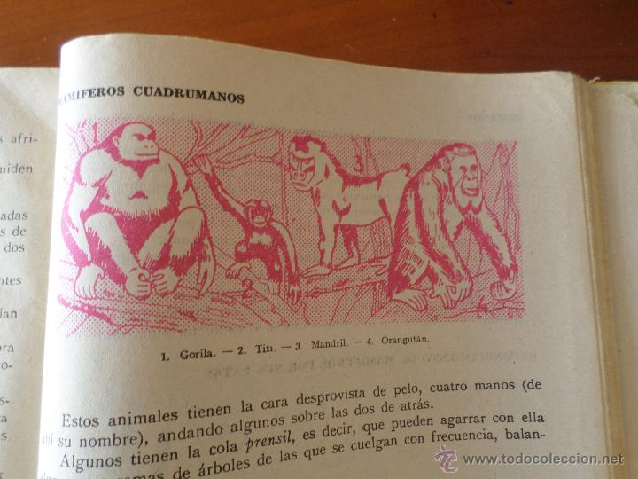 Libros antiguos: LIBRO HACES DE LUZ - Foto 5