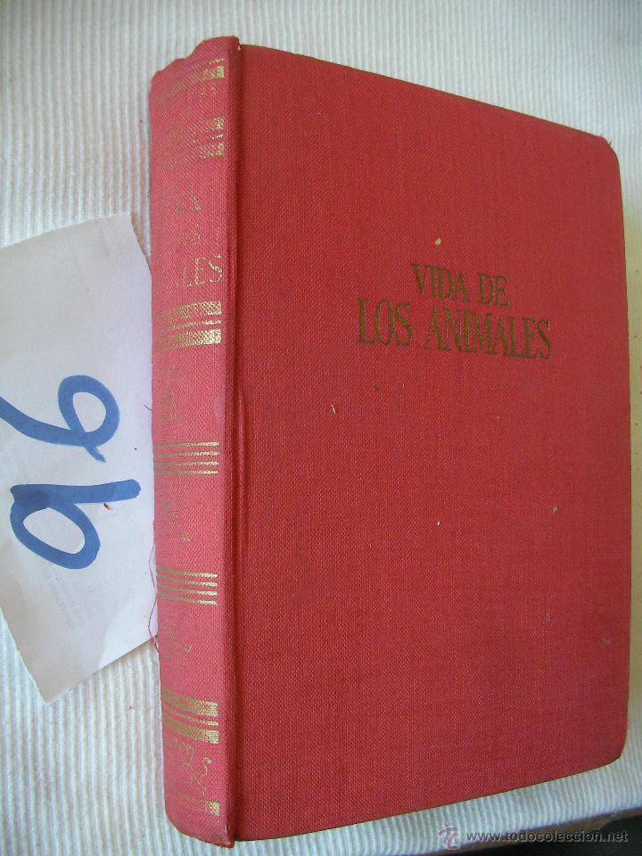Libros antiguos: ANTIGUO LIBRO DE TEXTO - VIDA DE LOS ANIMALES - Foto 1