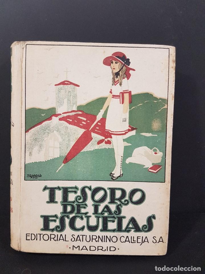 Libros antiguos: TESOROS DE LAS ESCUELAS,MADRID 1876.