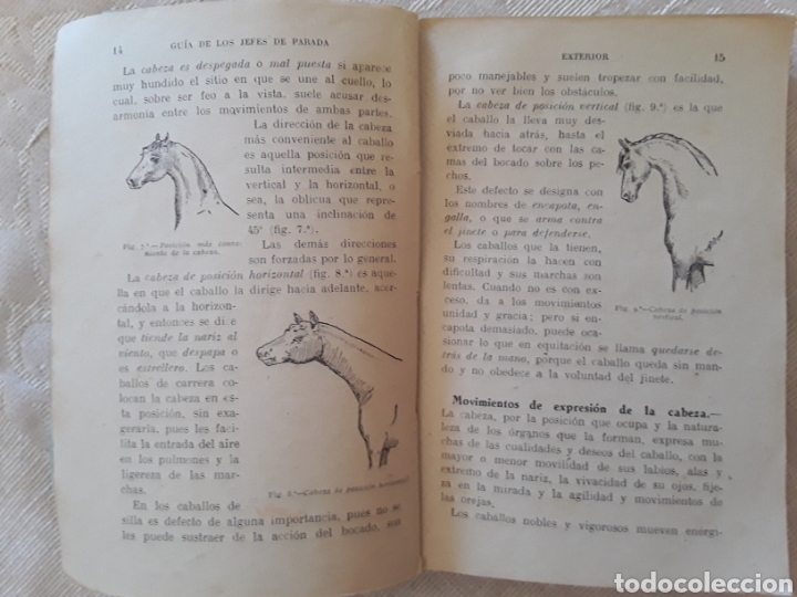 Libros antiguos: Guia de los Jefes de Parada - Foto 5