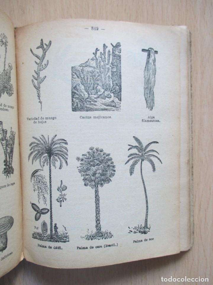 Libros antiguos: Tesoro de las Escuelas - Foto 22