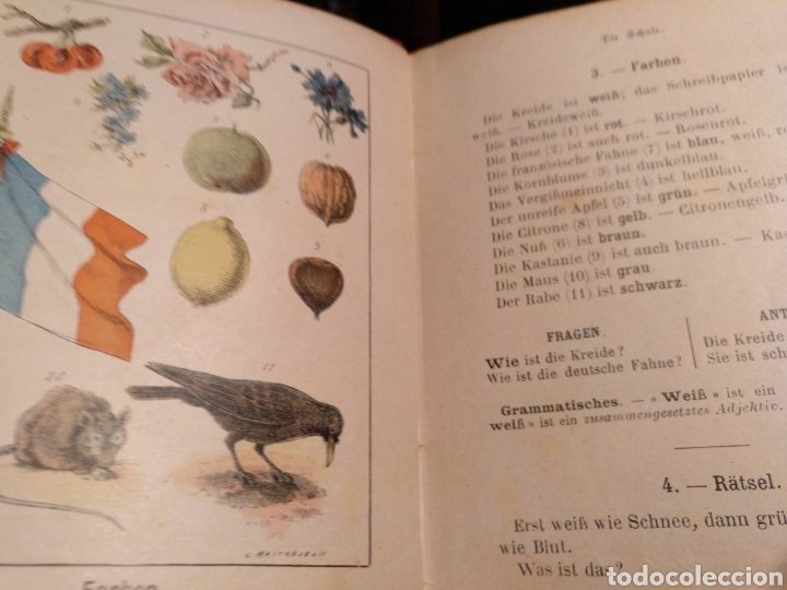 Libros antiguos: 1890-1940. 4 Libros para aprender idiomas. Envio gratis - Foto 3