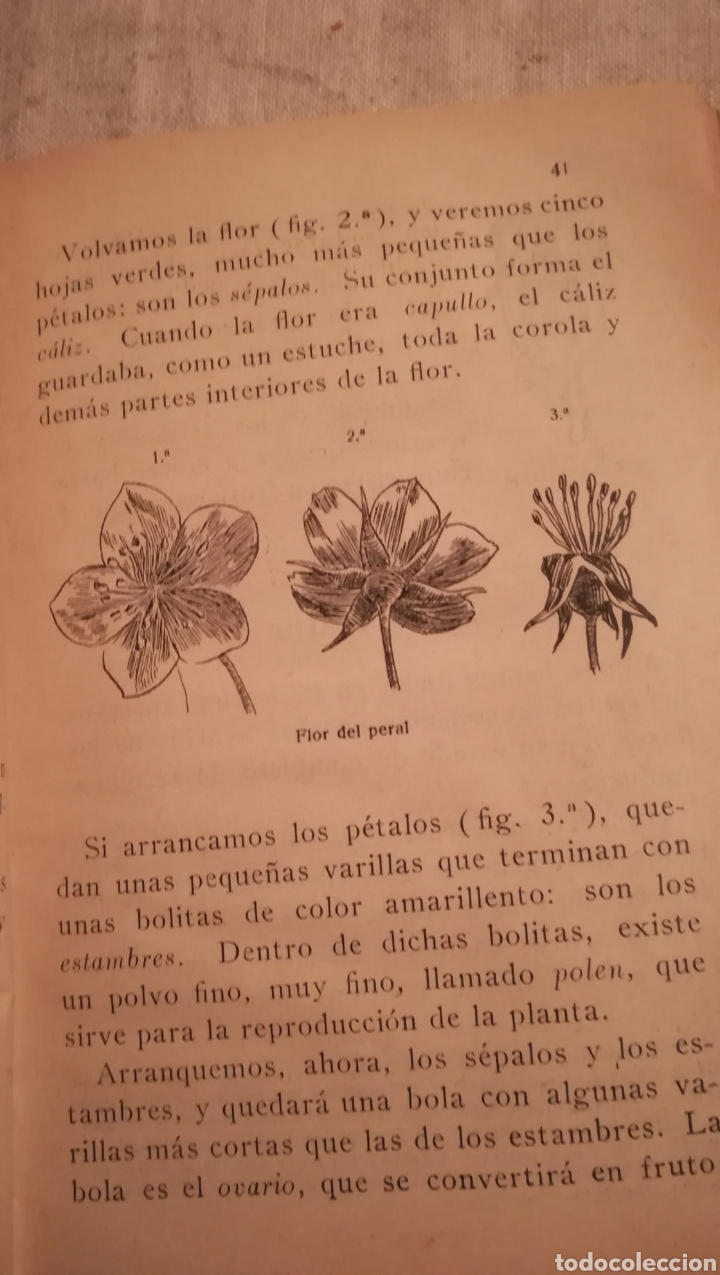 Libros antiguos: Lecci&oacute;nes de cosas, de 1930 - Foto 4