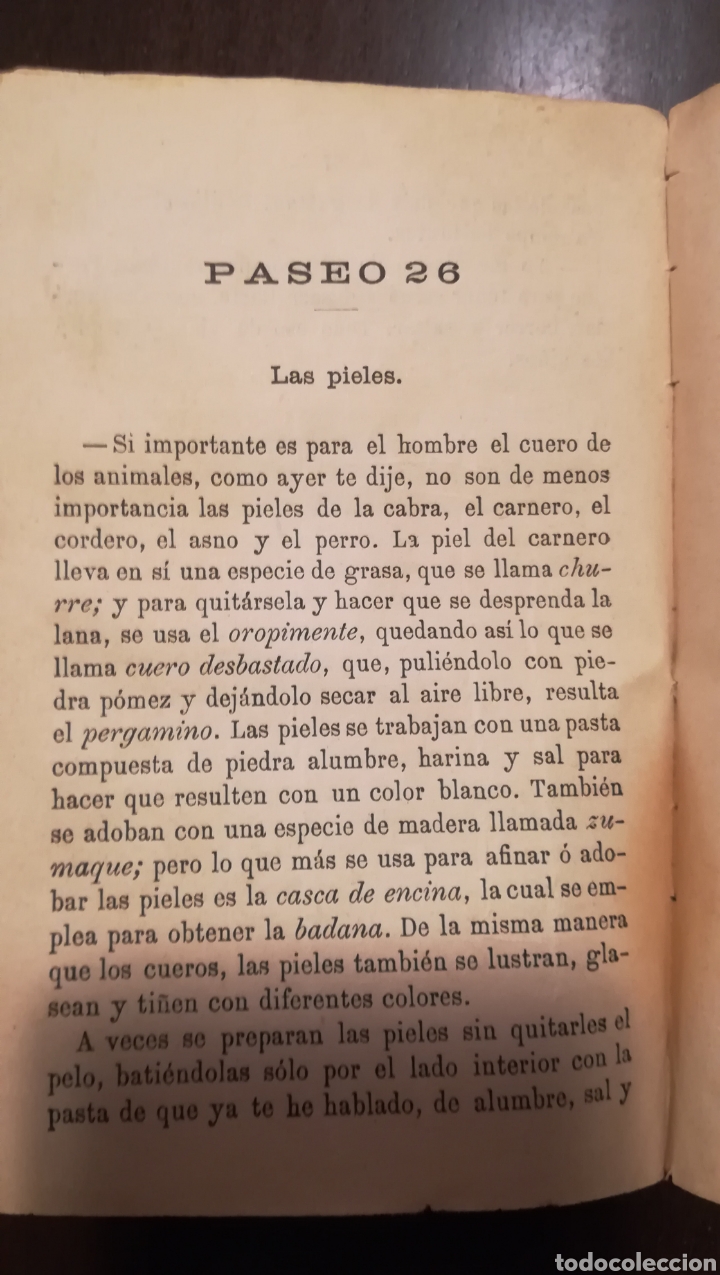 Libros antiguos: Paseos Instructivos. 1902. - Foto 5