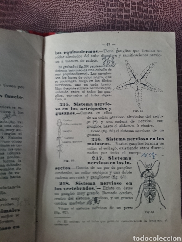 Libros antiguos: Historia natural - Foto 4