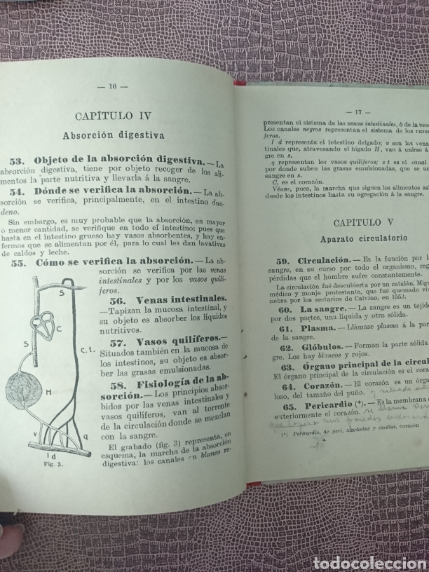 Libros antiguos: Fisiologia - higiene - Foto 4