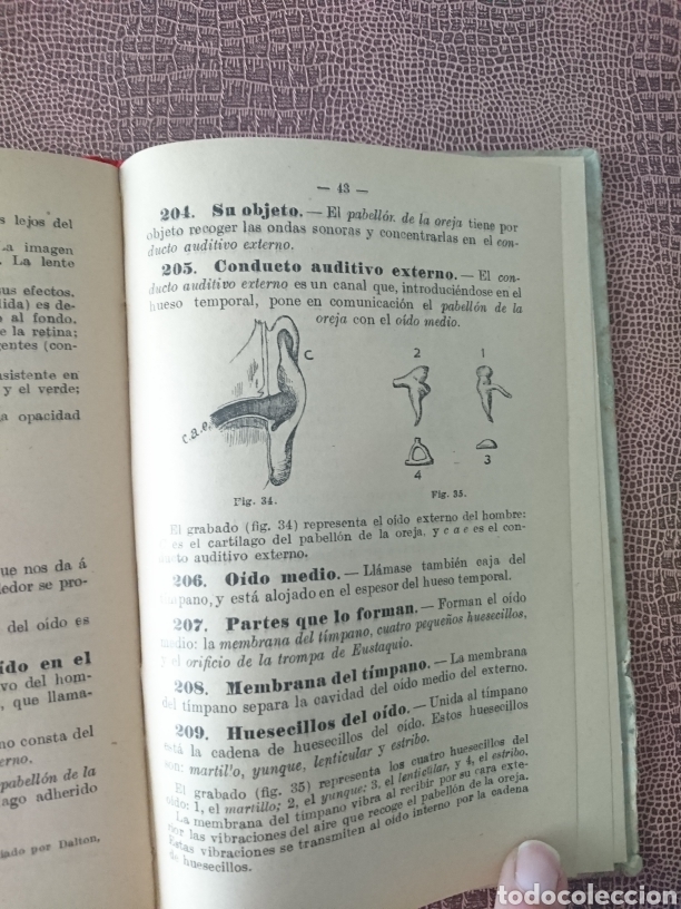 Libros antiguos: Fisiologia - higiene - Foto 6