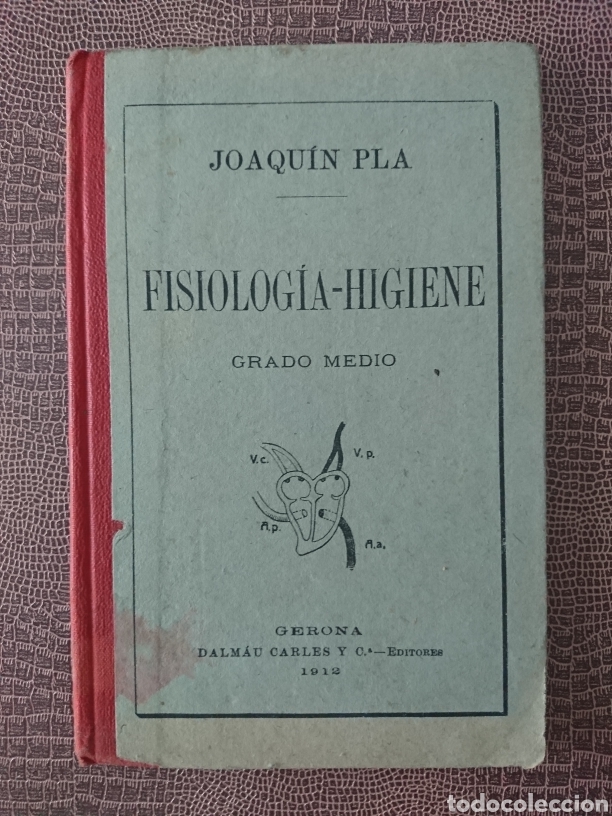 Libros antiguos: Fisiologia - higiene - Foto 1